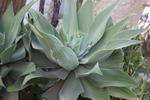 Tina's Casitas - Image 2