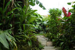 Tina's Casitas - Image 4