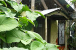 Tina's Casitas - Image 5