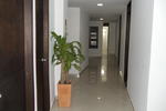 Black Sheep Hostel Medellin - Image 4