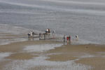 Photos of Stayokay Terschelling