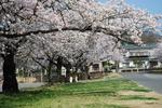 Ryokan Seifu-so at Matsumoto - Image 8