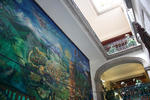Mexico City Hostel - Image 8