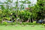 Arenal Backpackers Resort - Image 9