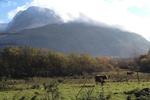 Chase The Wild Goose Hostel - Image 3