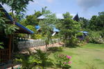 Photos of Mountain- View Guest house