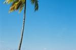 Coral Rock Hotel - Image 9