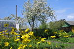 Nooruse B&B - Image 9
