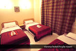 Hotel Vienna - Image 4