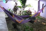 The Purple House International Backpackers' Hostel - Image 8