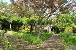 Quinta do Bento Novo - Image 2