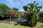 Quinta do Bento Novo - Image 10