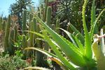 Karoo Soul Backpackers - Image 10