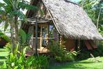 Mango Bay Resort - Image 4