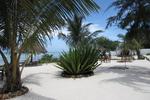 Tanzanite Beach Resort - Image 6