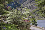 Black Valley Hostel (Hostelling International) - Image 2