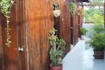 Rosy Guest House - Image 9