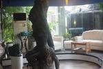 Ponce Suites - Image 2