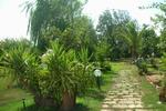 Photos of De Fabri Village
