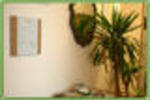 Calciufetta B&B - Image 8