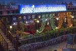 Penguin Village - Image 2