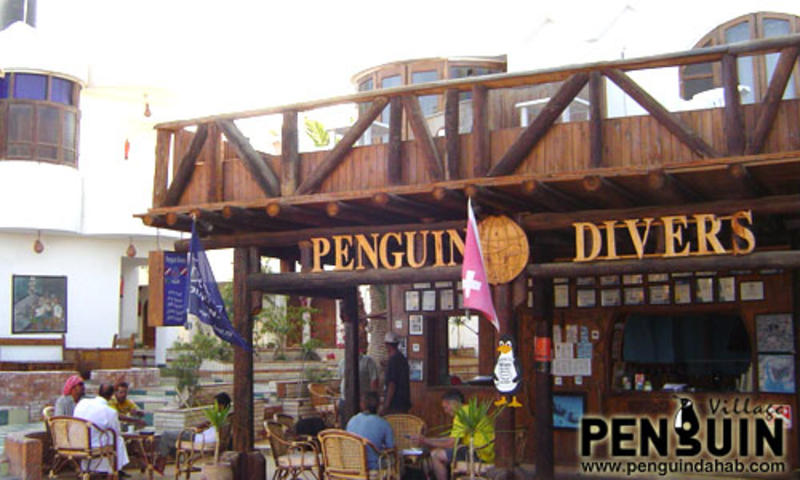 Penguin Village  2