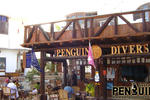 Penguin Village - Image 3