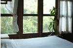 Roatan Bed and Breakfast - Image 5
