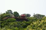 Roatan Bed and Breakfast - Image 6