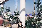 Old Jaffa Hostel - Image 4