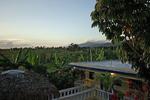 SANA El Jardin Secreto - Image 2