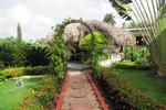 SANA El Jardin Secreto - Image 7