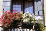 Hotel San Samuele
