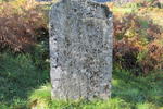 Salmon Leap - Image 7