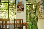 Tropicana Lodge - Image 2