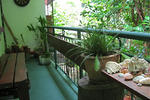 Tropicana Lodge - Image 6