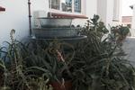 Albergo for Backpackers - Image 10