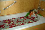 Lamai Hotel - Image 6