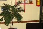 Eurorooms - Image 9