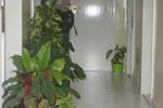 Photos of Mladenka Matusic Guesthouse