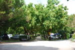 Photos of Camping Della Serenissima