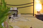 Cerdena Rooms - Image 2