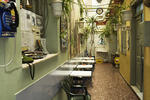 Pagration Youth Hostel - Image 6