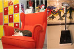 Hong Kong Hostel - Image 2