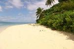 Leleuvia Island Resort - Image 4