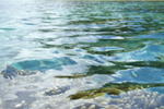 Leleuvia Island Resort - Image 7