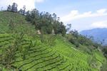 Hiliya Resort Home Stay - Image 7