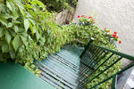 Le Gîte du Parc Lafontaine - Image 6