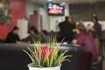 HelloBCN Hostel - Image 6