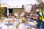 Windsor Hotel - Image 3